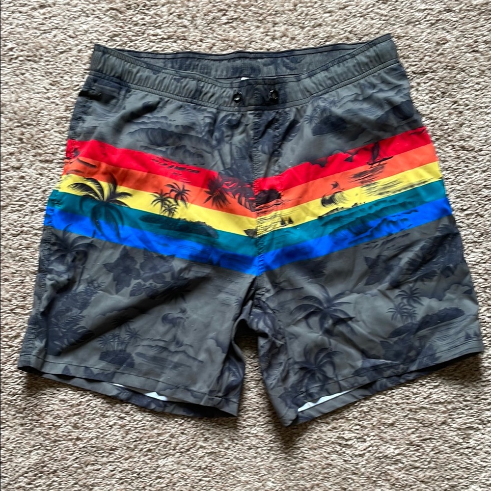 Men's Gray Swim Shorts with Rainbow Stripes